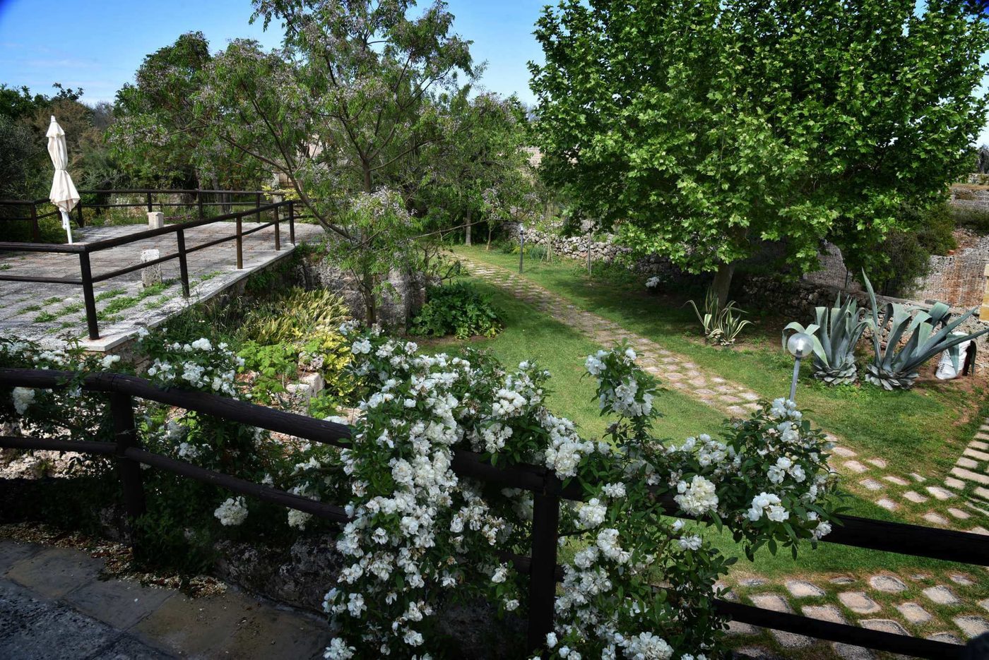 Fata Bianca