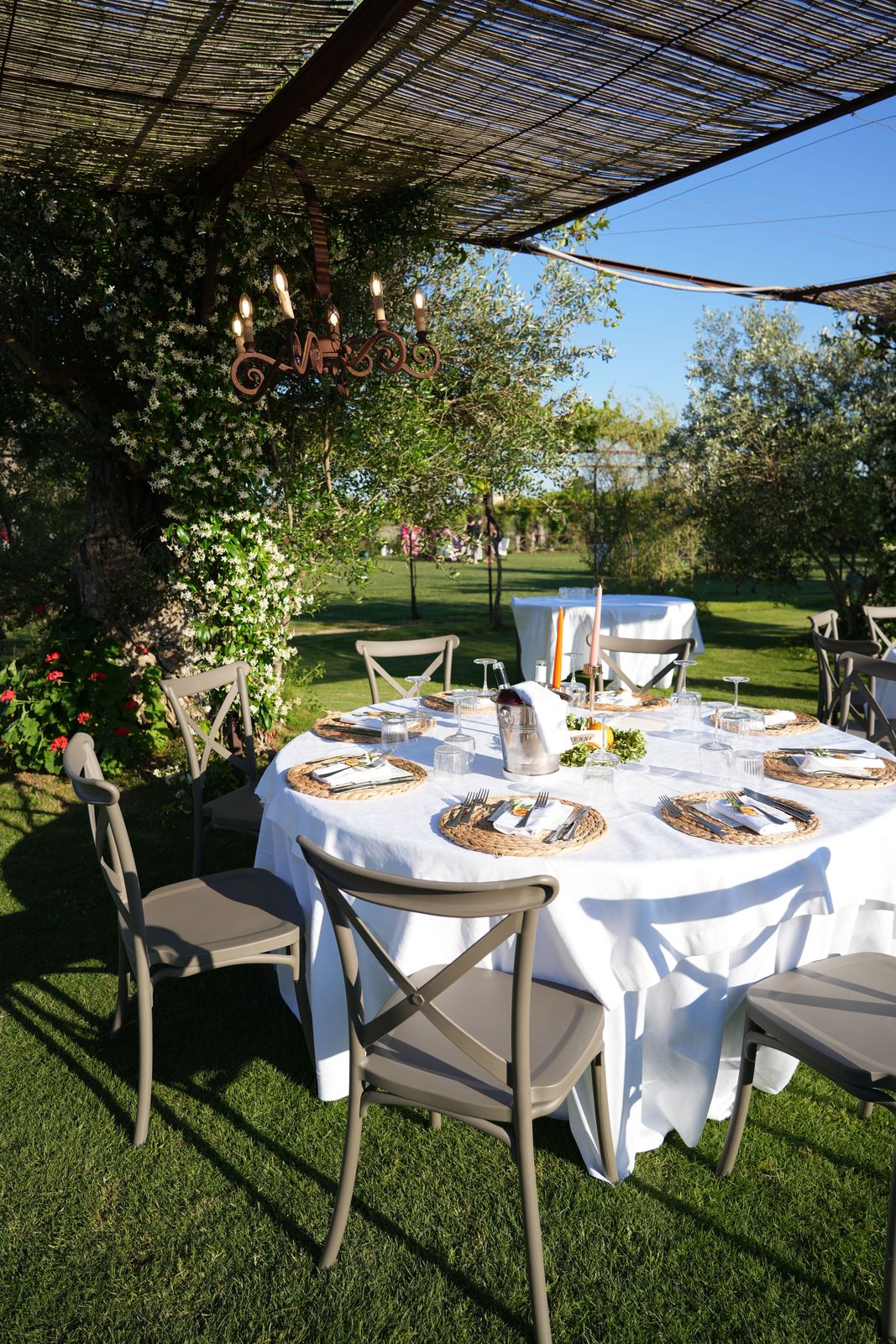 The pergola & the olive park at Li Calizzi