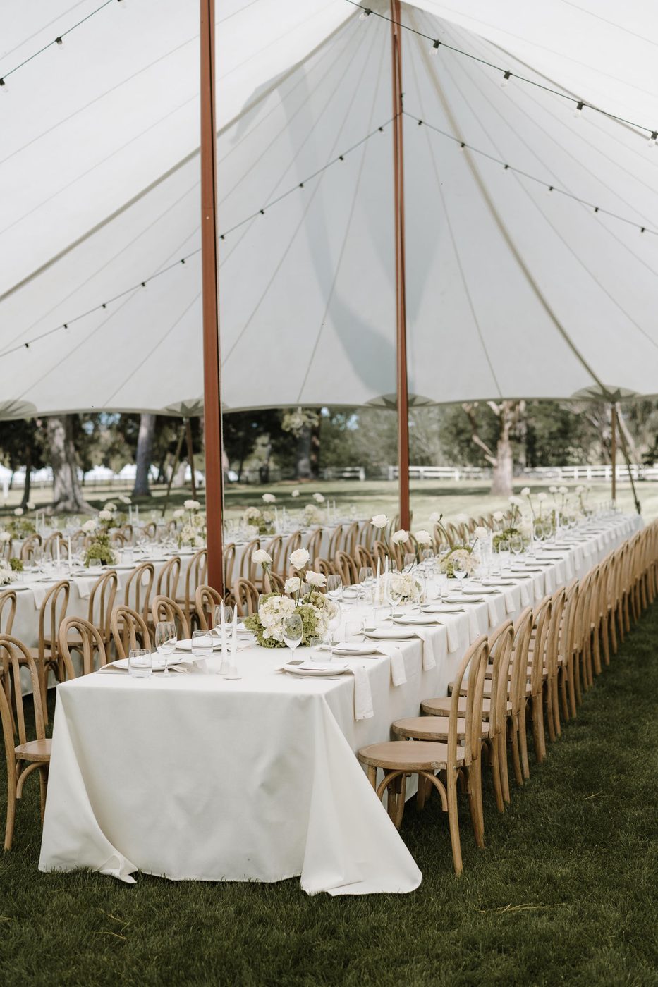 Olivia Plush — Luxury Weddings & Events